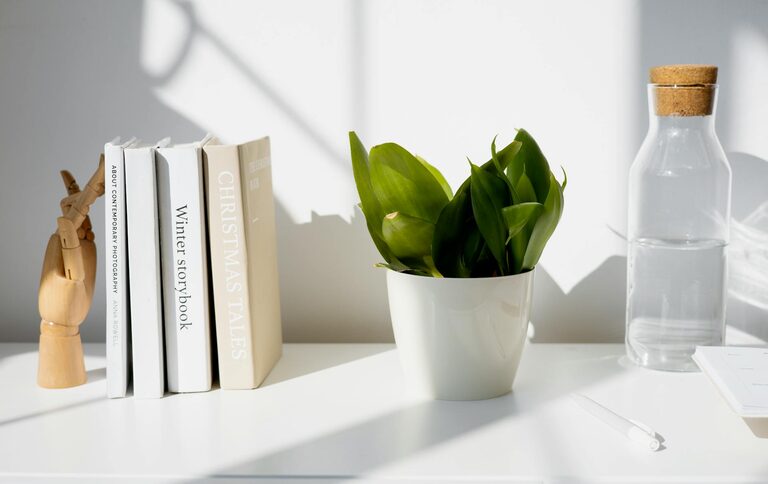 How to Create a Relaxing Home Workspace for Better Focus